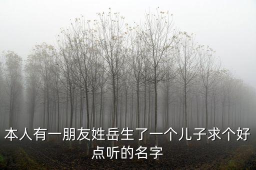 本人有一朋友姓岳生了一個兒子求個好點聽的名字