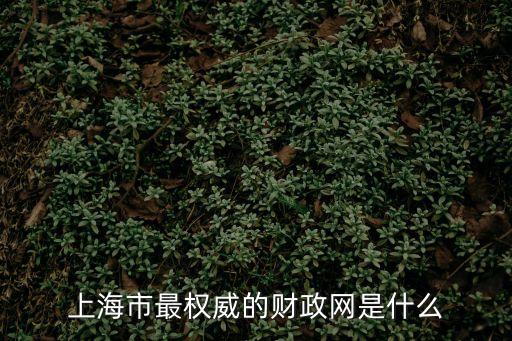 上海市財政資金平臺，上海市最權威的財政網是什么