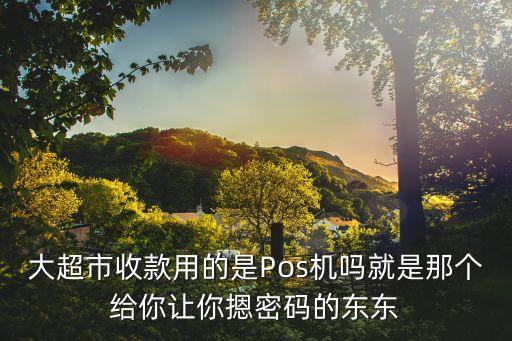 大超市收款用的是Pos機嗎就是那個給你讓你摁密碼的東東