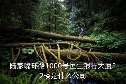 陸家嘴環路1000號恒生銀行大廈22樓是什么公司