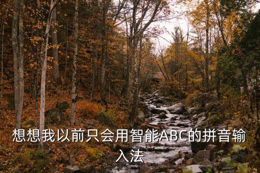 想想我以前只會(huì)用智能ABC的拼音輸入法