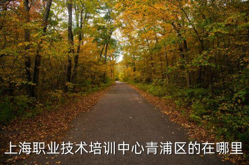 上海職業技術培訓中心青浦區的在哪里