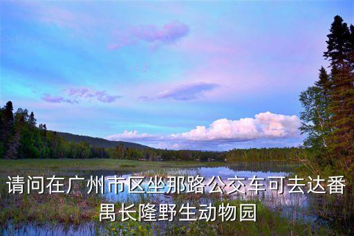 廣州南方新村，廣州836公車
