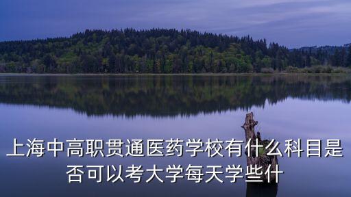 上海中高職貫通醫藥學校有什么科目是否可以考大學每天學些什