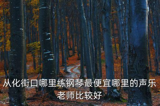 從化街口哪里練鋼琴最便宜哪里的聲樂老師比較好