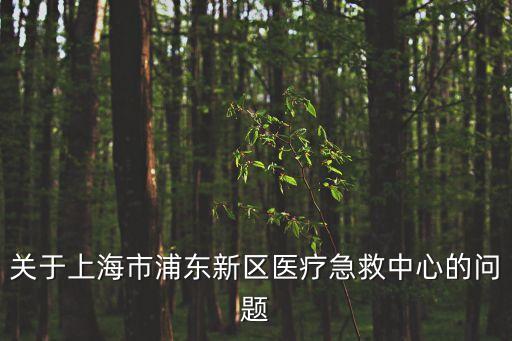關于上海市浦東新區醫療急救中心的問題