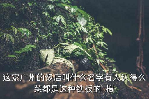 廣州楊箕又一村風味菜館，誰知道這間餐廳在廣州哪里叫什么名字