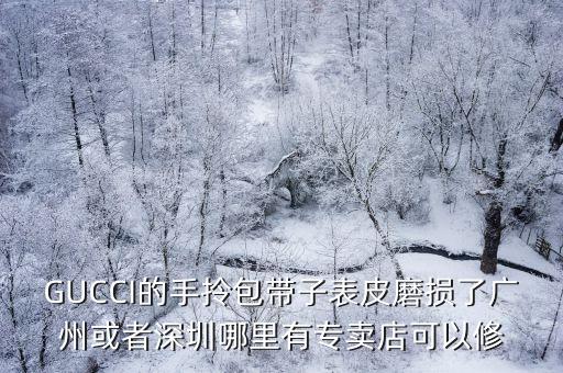 GUCCI的手拎包帶子表皮磨損了廣州或者深圳哪里有專(zhuān)賣(mài)店可以修