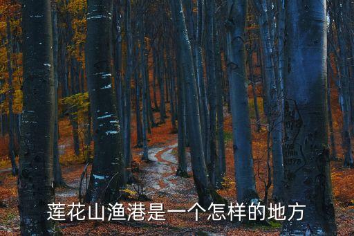 廣州蓮花山港百科，蓮花山漁港是一個怎樣的地方