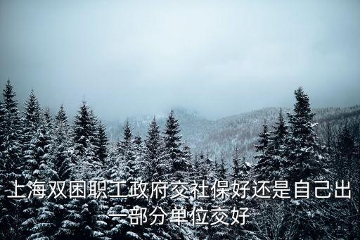 上海雙困職工政府交社保好還是自己出一部分單位交好