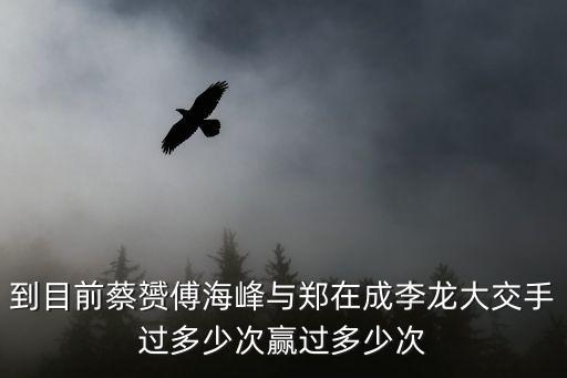 鄭在成，今年奧運會羽毛球混雙韓國隊那個男的叫什么名字