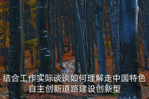結(jié)合工作實(shí)際談?wù)勅绾卫斫庾咧袊?guó)特色自主創(chuàng)新道路建設(shè)創(chuàng)新型