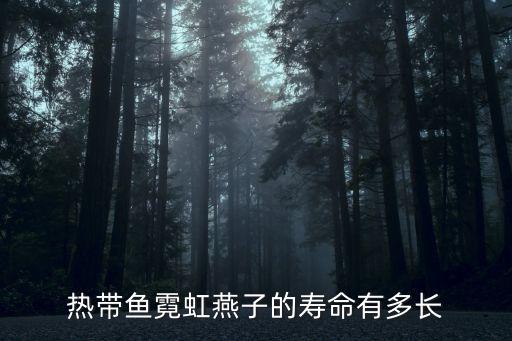 熱帶魚霓虹燕子的壽命有多長