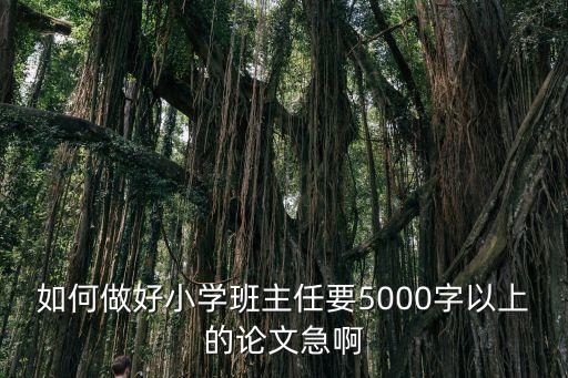 如何做好小學(xué)班主任要5000字以上的論文急啊