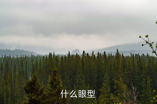 什么眼型