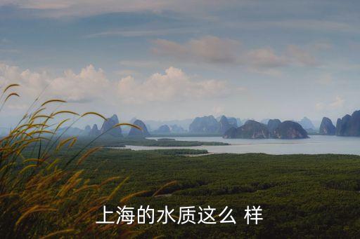 上海市內水污染，上海的水質這么 樣