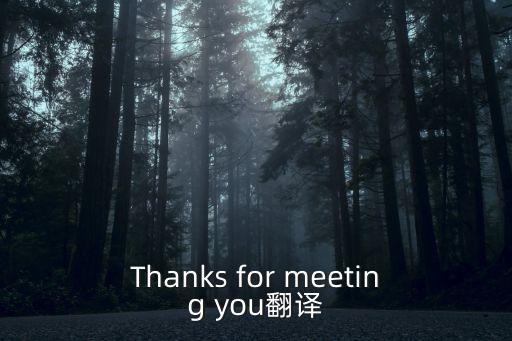 Thanks for meeting you翻譯