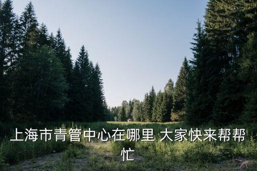 上海市青訓中心，上海市青管中心在哪里 大家快來幫幫忙