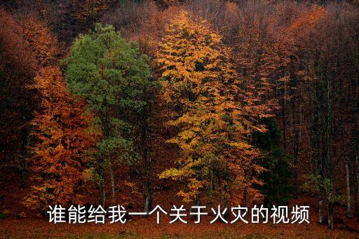 誰能給我一個關(guān)于火災(zāi)的視頻