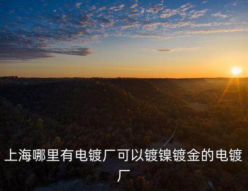 上海哪里有電鍍廠可以鍍鎳鍍金的電鍍廠