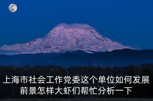 上海市社會工作黨委這個單位如何發(fā)展前景怎樣大蝦們幫忙分析一下