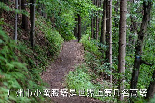 爬廣州塔比賽冠軍時間，廣州塔登塔時間