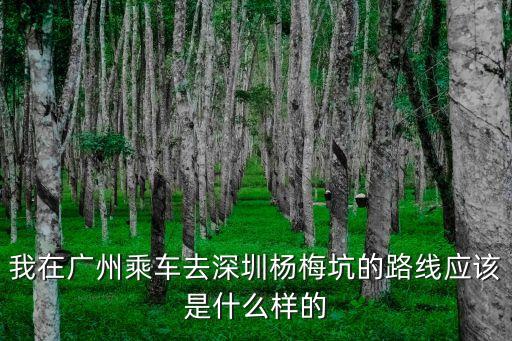 我在廣州乘車去深圳楊梅坑的路線應(yīng)該是什么樣的