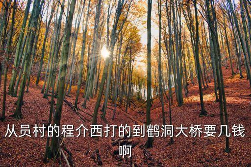 從員村的程介西打的到鶴洞大橋要幾錢啊