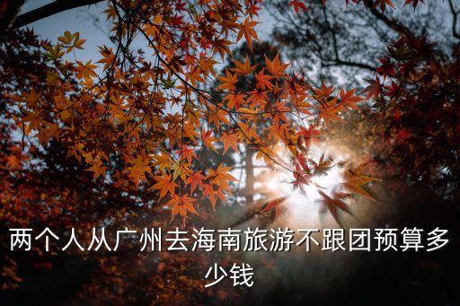 兩個(gè)人從廣州去海南旅游不跟團(tuán)預(yù)算多少錢