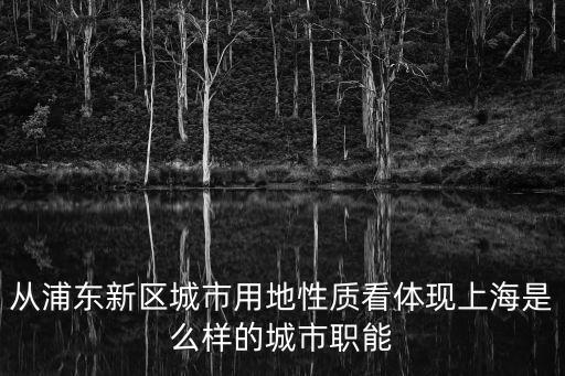 從浦東新區城市用地性質看體現上海是么樣的城市職能