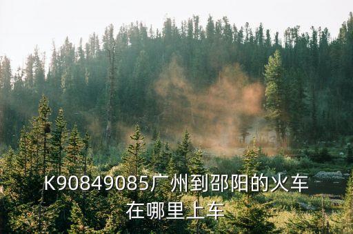 K90849085廣州到邵陽的火車在哪里上車