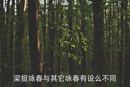 梁挺詠春與其它詠春有設么不同
