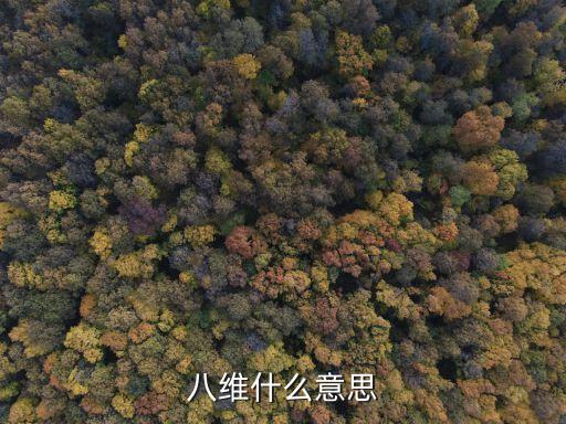 八維什么意思