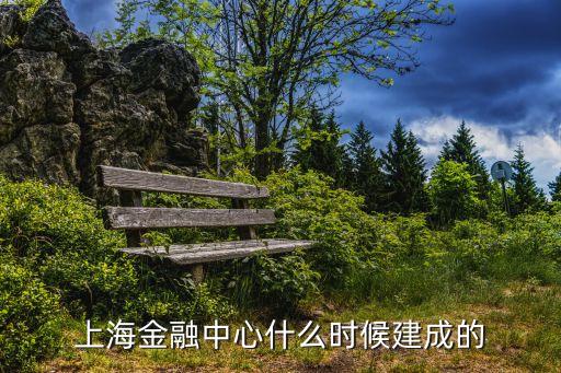 上海金融中心什么時候建成的