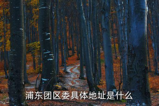 浦東團區委具體地址是什么