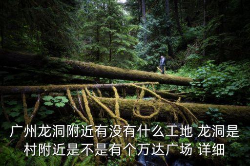 廣州龍洞附近有沒有什么工地 龍洞是村附近是不是有個萬達廣場 詳細