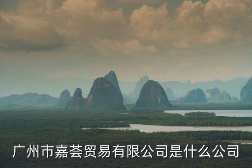 廣州市嘉薈貿易有限公司是什么公司