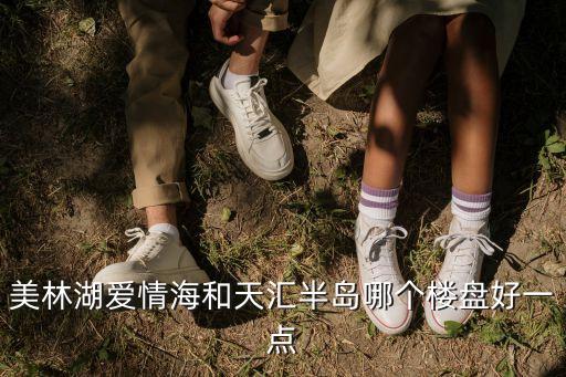 美林湖愛情海和天匯半島哪個樓盤好一點