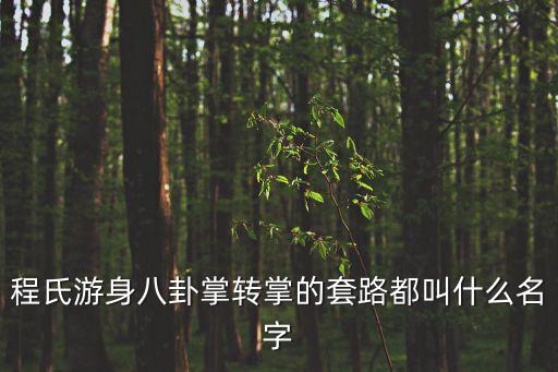 程式八卦掌，程氏游身八卦掌轉掌的套路都叫什么名字