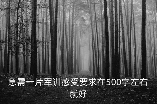 急需一片軍訓感受要求在500字左右就好