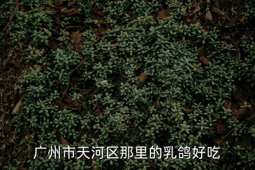 廣州乳鴿哪家正宗，廣州市天河區(qū)那里的乳鴿好吃