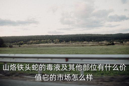 山烙鐵頭蛇的毒液及其他部位有什么價值它的市場怎么樣