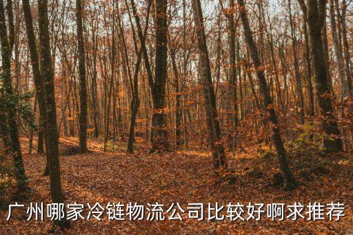 廣州短途冷鏈運輸包裝公司，請問廣州有哪幾家冷鏈物流公司