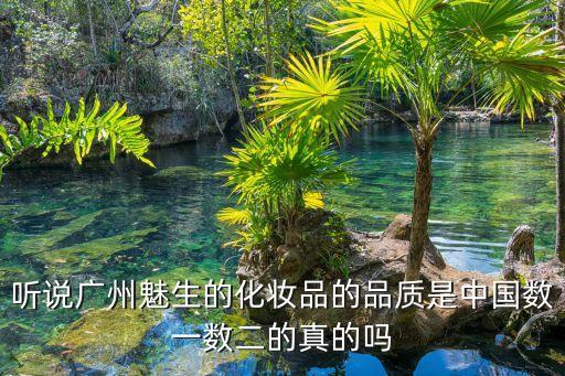 聽說廣州魅生的化妝品的品質(zhì)是中國(guó)數(shù)一數(shù)二的真的嗎