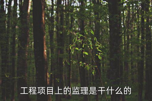 工程項目上的監理是干什么的