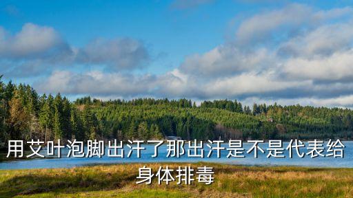 泡腳大汗淋漓是排毒嗎，用艾葉泡腳出汗了那出汗是不是代表給身體排毒