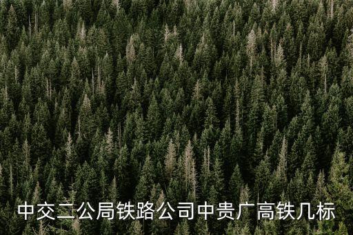 中交二公局鐵路公司中貴廣高鐵幾標