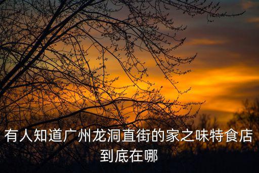 有人知道廣州龍洞直街的家之味特食店到底在哪