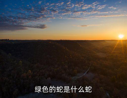 綠蛇，有一種全身是綠色的蛇這種蛇叫什么