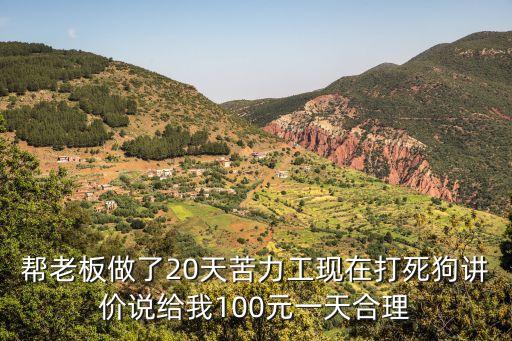 幫老板做了20天苦力工現(xiàn)在打死狗講價(jià)說給我100元一天合理